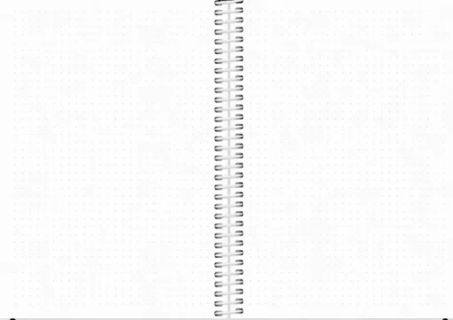 Burde Kalenteri 2024 Scribble Ii A5