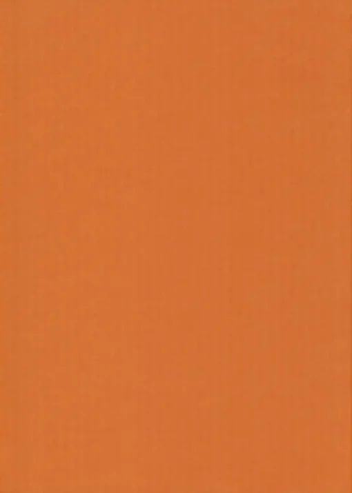 Karto Kartonki A4 220Gsm Oranssi 5Ark/Pss