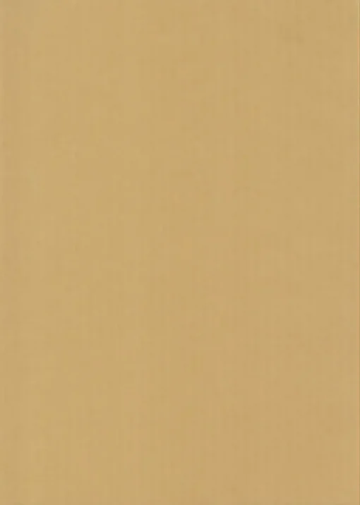Karto Kartonki Beige 50X70Cm 220Gsm 5Ark/Pss