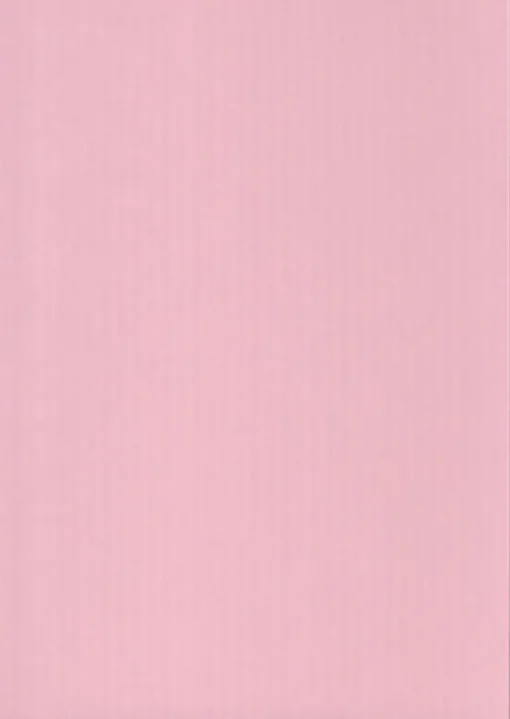 Karto Kartonki Vaaleanpunainen 50X70Cm 220Gsm 5Ark/Pss