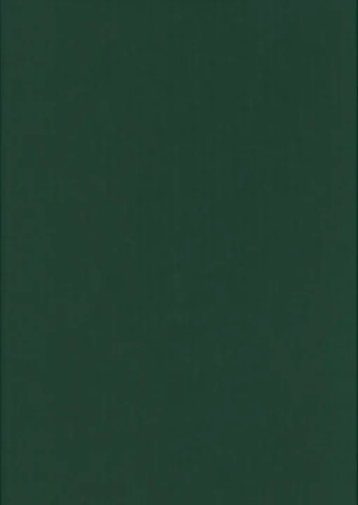 Karto Kortti Joulunvihrea 10X15Cm 220Gsm 10Kpl/Pss