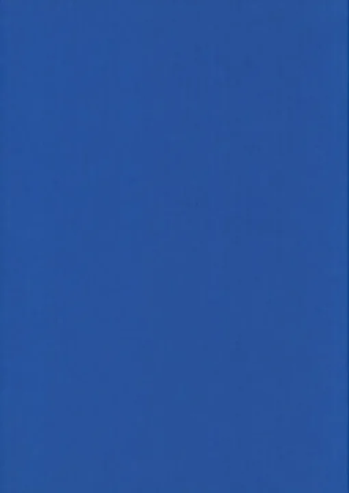 Karto Kortti Sahkonsininen 10X15Cm 220Gsm 10Kpl/Pss